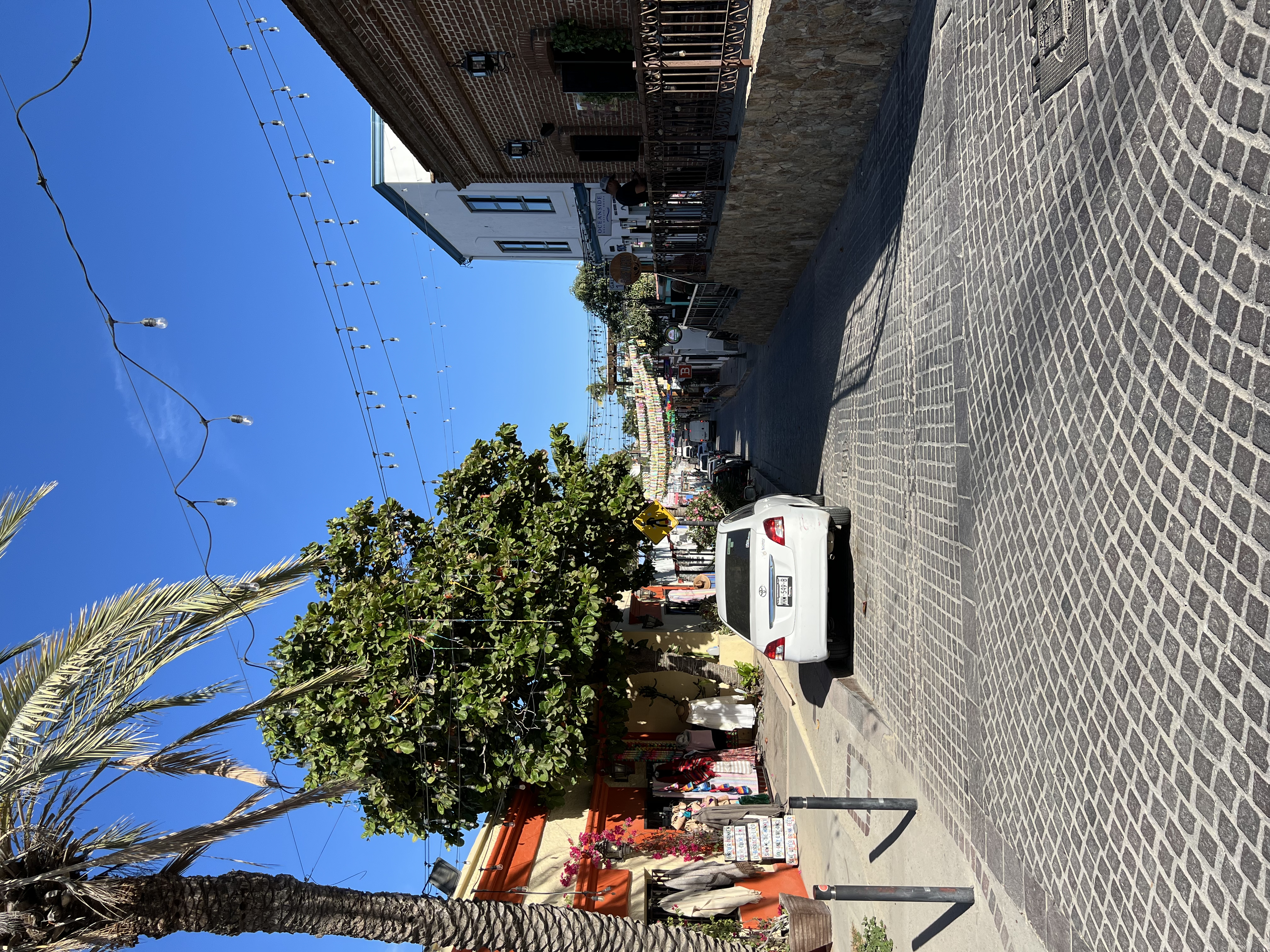 ./2024/13 - Cabo/IMG_4542.jpg